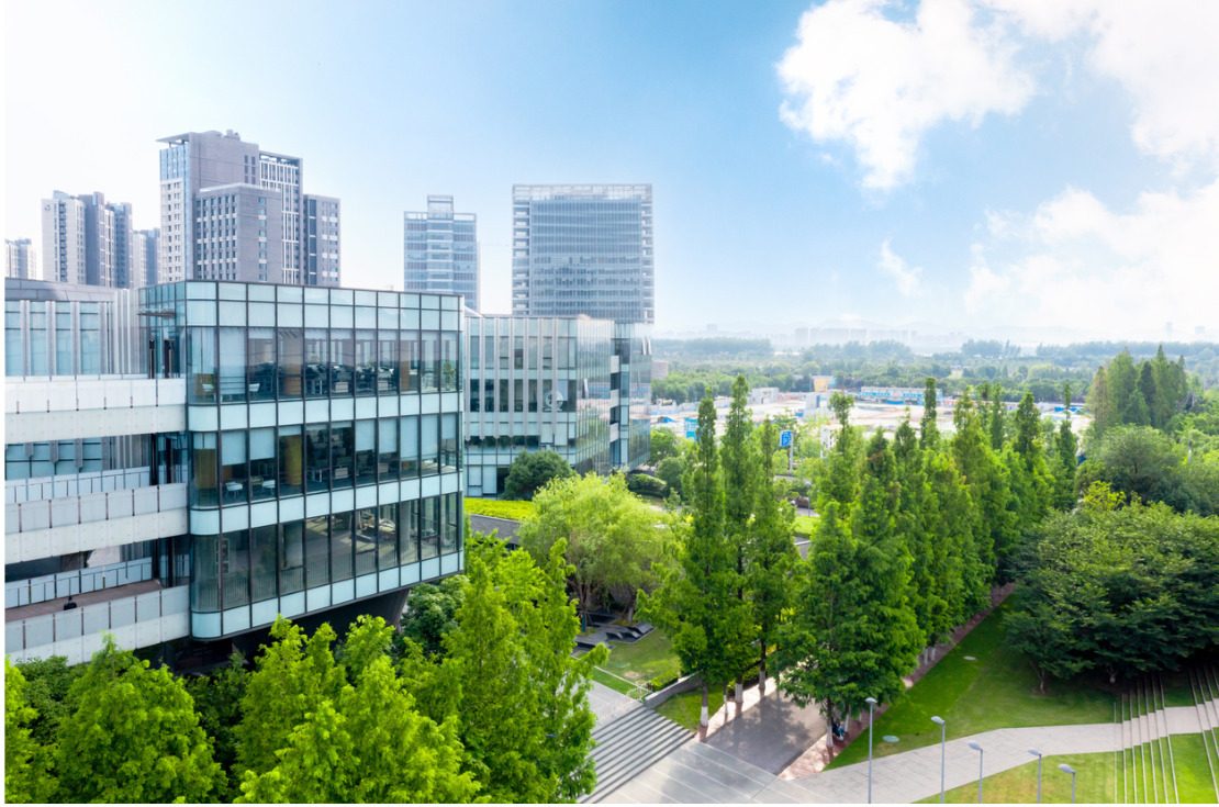 Office building surrounded by trees